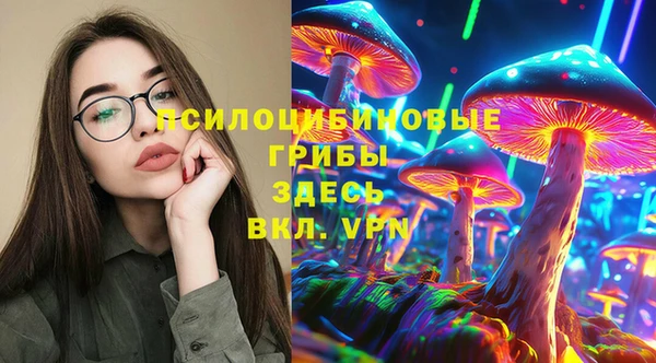 ALPHA PVP Богданович
