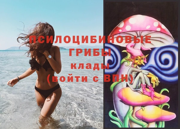 наркотики Богородск