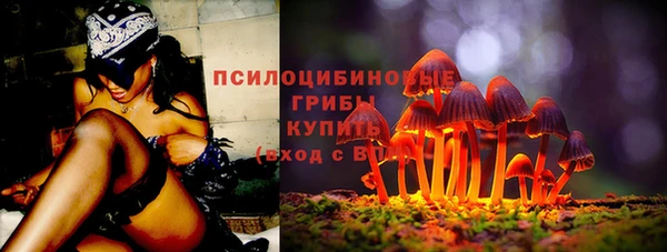 меф Богородицк