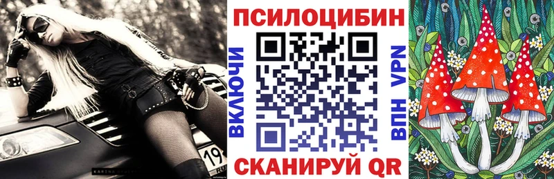 Псилоцибиновые грибы Cubensis  Котельниково 
